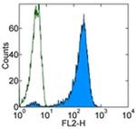 TCR DO11.10 Antibody in Flow Cytometry (Flow)