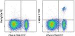 TCR V alpha 2 Antibody in Flow Cytometry (Flow)