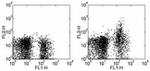 CD249 (BP-1) Antibody in Flow Cytometry (Flow)