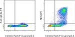 iNOS Antibody in Flow Cytometry (Flow)