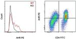 AHR Antibody in Flow Cytometry (Flow)