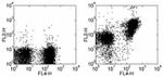 CD272 (BTLA) Antibody in Flow Cytometry (Flow)