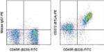 CD272 (BTLA) Antibody in Flow Cytometry (Flow)