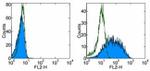 B7-H4 Antibody in Flow Cytometry (Flow)