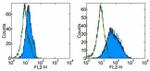 CD276 (B7-H3) Antibody in Flow Cytometry (Flow)