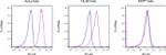 B7-H6 Antibody