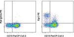 EGR2 Antibody in Flow Cytometry (Flow)