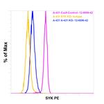 Syk Antibody in Flow Cytometry (Flow)