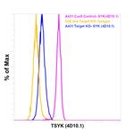 Syk Antibody