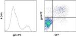 Baculovirus Envelope gp64 Antibody in Flow Cytometry (Flow)