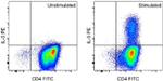 IL-5 Antibody in Flow Cytometry (Flow)