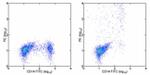 IL-12/IL-23 p40 Antibody in Flow Cytometry (Flow)