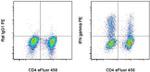 IFN gamma Antibody in Flow Cytometry (Flow)