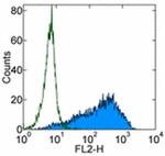 SSEA1 Antibody in Flow Cytometry (Flow)