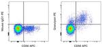 Granulysin Antibody in Flow Cytometry (Flow)