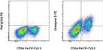 Granzyme B Antibody in Flow Cytometry (Flow)