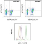 Phospho-Syk (Tyr348) Antibody in Flow Cytometry (Flow)