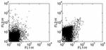 CD282 (TLR2) Antibody in Flow Cytometry (Flow)