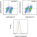 Phospho-ERK1/2 (Thr202, Tyr204) Antibody in Flow Cytometry (Flow)