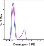 Desmoglein 2 Antibody in Flow Cytometry (Flow)