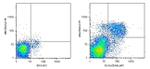 Perforin Antibody in Flow Cytometry (Flow)