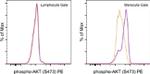 Phospho-AKT1 (Ser473) Antibody in Flow Cytometry (Flow)