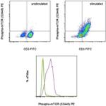 Phospho-mTOR (Ser2448) Antibody in Flow Cytometry (Flow)