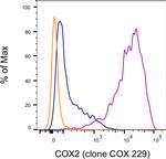 COX2 Antibody