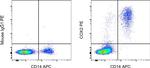 COX2 Antibody in Flow Cytometry (Flow)