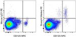 Basophil Marker Antibody in Flow Cytometry (Flow)