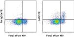 GARP Antibody in Flow Cytometry (Flow)