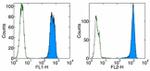 PCNA Antibody in Flow Cytometry (Flow)