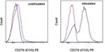 CD278 (ICOS) Antibody in Flow Cytometry (Flow)