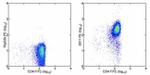 CD184 (CXCR4) Antibody in Flow Cytometry (Flow)