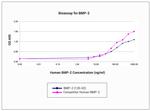 Human/Mouse/Rat BMP-2 Protein in Functional Assay (FN)