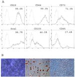 CD14 Antibody in Flow Cytometry (Flow)