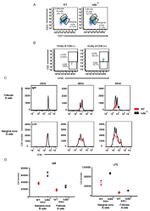 CD9 Antibody in Flow Cytometry (Flow)