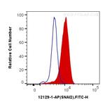 SNAI2 Antibody in Flow Cytometry (Flow)