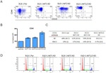 CD133 (Prominin-1) Antibody in Flow Cytometry (Flow)