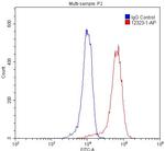 PAX6 Antibody in Flow Cytometry (Flow)