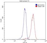 PrP Antibody in Flow Cytometry (Flow)