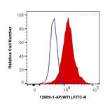 WT1 Antibody in Flow Cytometry (Flow)