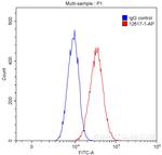 GNAI1 Antibody in Flow Cytometry (Flow)