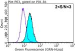 GNAI1 Antibody in Flow Cytometry (Flow)