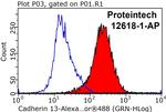 Cadherin-13 Antibody in Flow Cytometry (Flow)