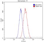 Calmegin Antibody in Flow Cytometry (Flow)