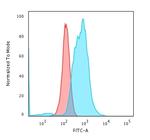 Calponin-1 Antibody in Flow Cytometry (Flow)