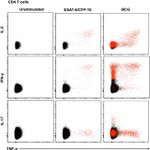 IL-17A Antibody in Flow Cytometry (Flow)