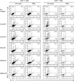 IL-10 Antibody in Flow Cytometry (Flow)