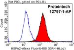 HSPA2 Antibody in Flow Cytometry (Flow)